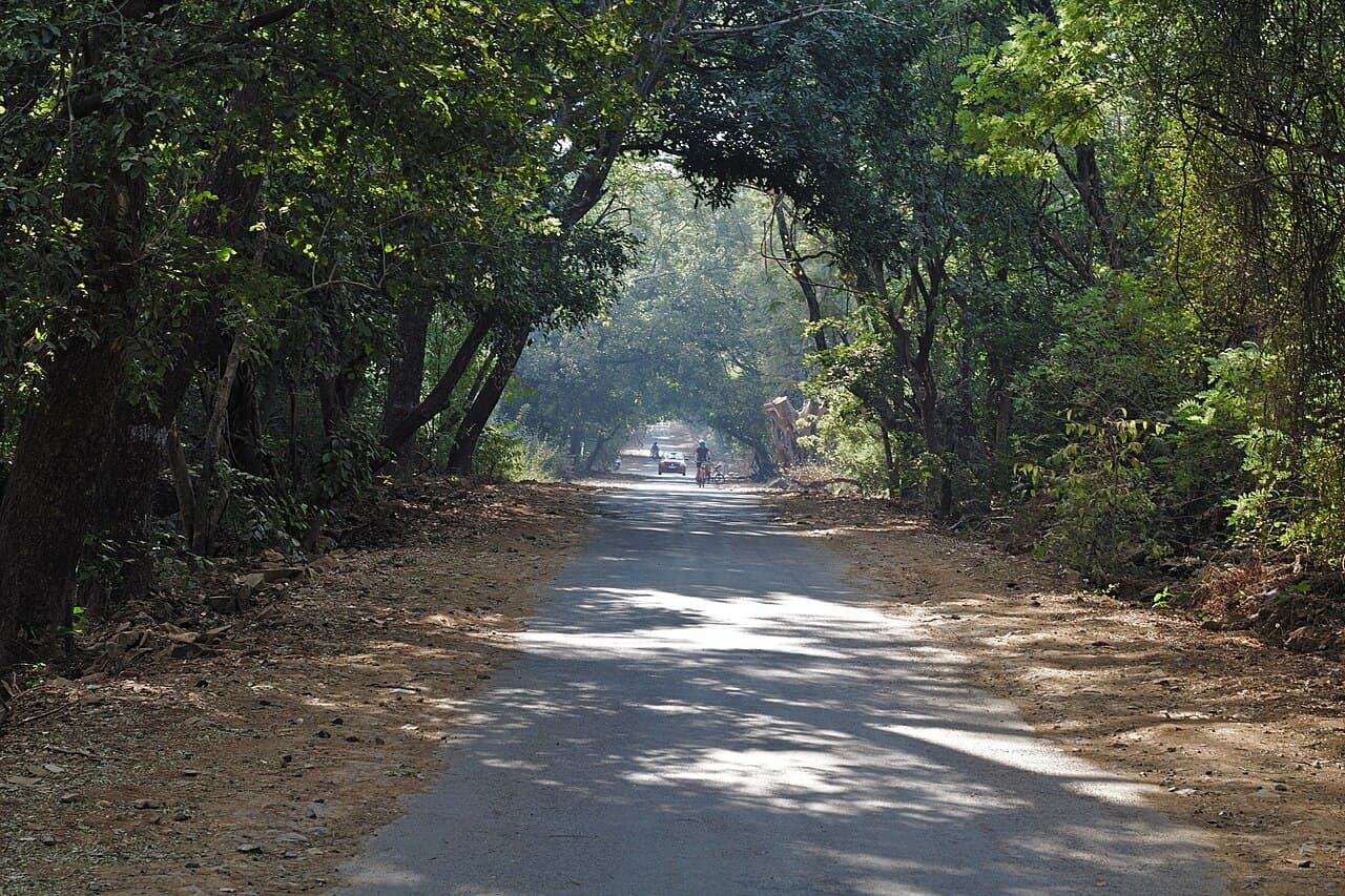 Road in Sanjay Gandhi National Park